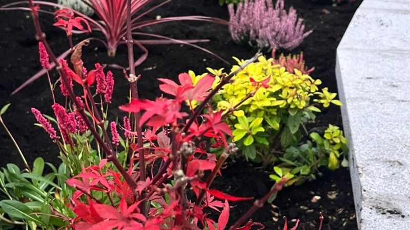 Flowers in lobby (2) - inside